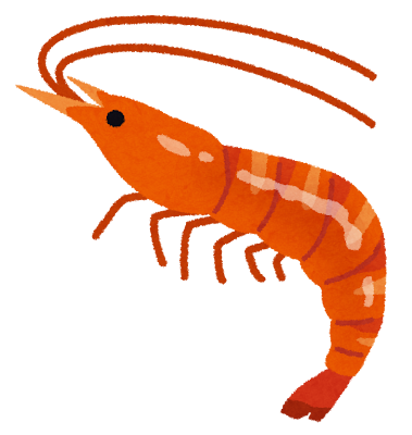 Shrimp (えび) illustration