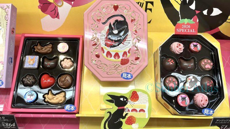 Angege (アンジュジュ) chocolates and packaging tin with a black cat motif. A chocolate box is on the left, and a tin is on the right, containing chocolates shaped like cats, paws, and hearts (猫や肉球、ハート型). The center features a cute pink lid decorated with a black cat and a shortcake