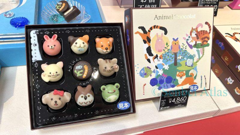 Animal Chocolat (アニマルショコラ) with animal face motifs. Nine chocolates are arranged in a box, featuring a unique lineup including standard animals like cats and dogs (猫や犬), as well as distinctive creatures like frogs and spotted garden eels (かえるやチンアナゴ).