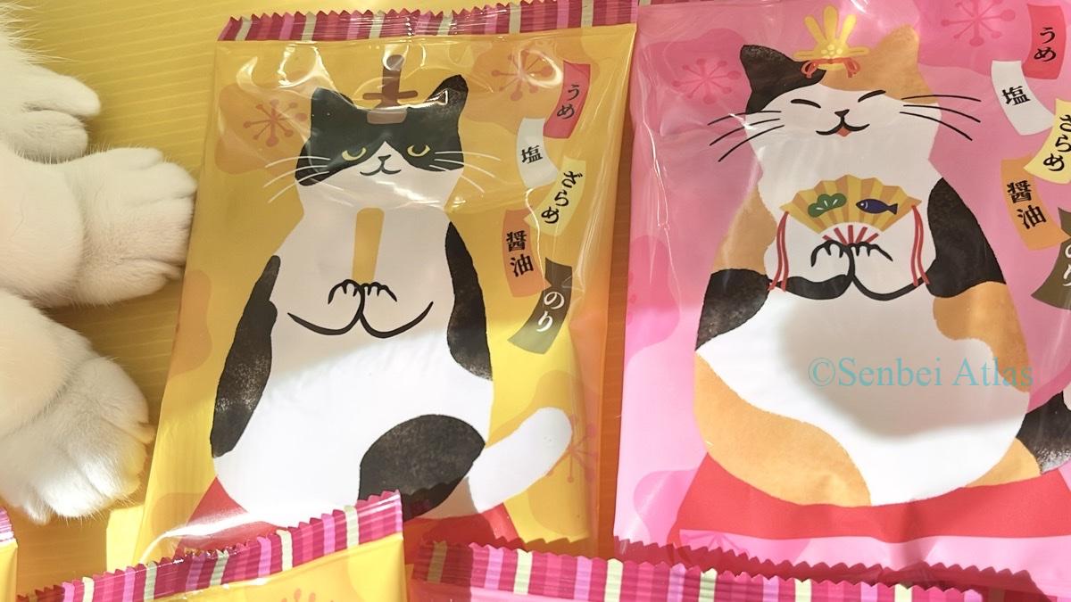 Two types of Kaldi (カルディ) Hinya-arare (ひにゃあられ) packages with a cute white cat’s paw (猫の前足) posing like a real "O-hinya-sama" in the corner.