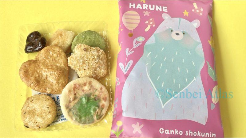 Ganko Shokunin (がんこ職人) HARUNE contents and its colorful package.
