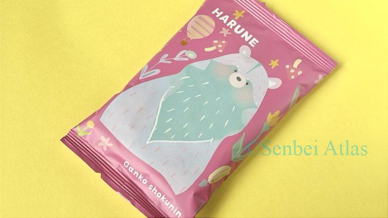 Ganko Shokunin (がんこ職人) HARUNE colorful package