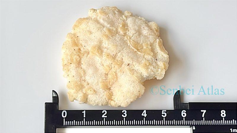 Measuring the size of Seto Shio (瀬戸しお) with a ruler underneath.